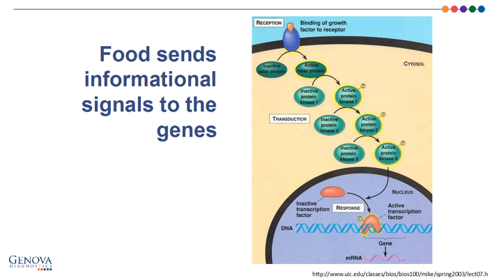 food signals
